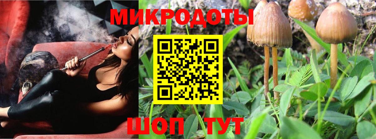 Галлюциногенные грибы мицелий Ливны